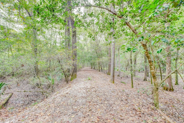 view of local wilderness