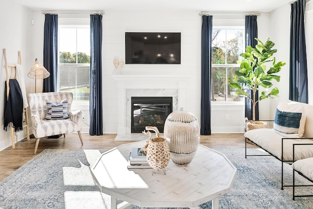 sitting room with baseboards, a premium fireplace, wood finished floors, and a healthy amount of sunlight