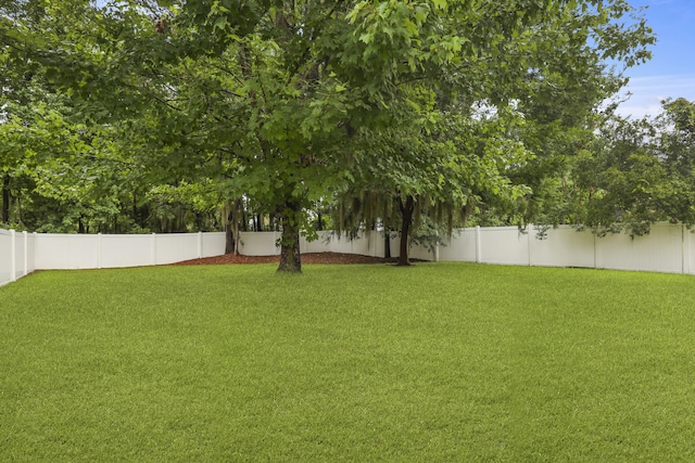 72 Shadow Moss Dr, Beaufort, SC 29906 - view of fenced backyard