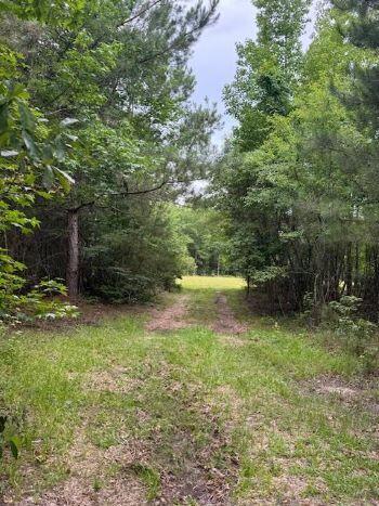 7082 M W Rickenbaker Rd, Summerton, SC 29148