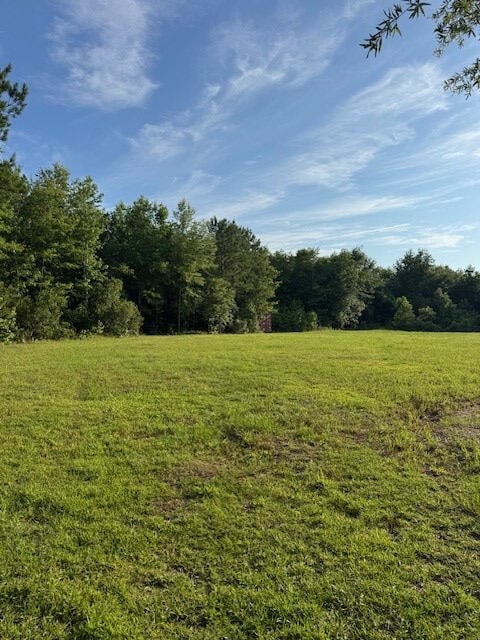 7082 M W Rickenbaker Rd, Summerton, SC 29148
