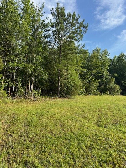 7082 M W Rickenbaker Rd, Summerton, SC 29148