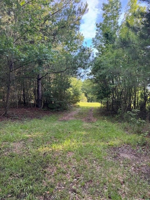7082 M W Rickenbaker Rd, Summerton, SC 29148