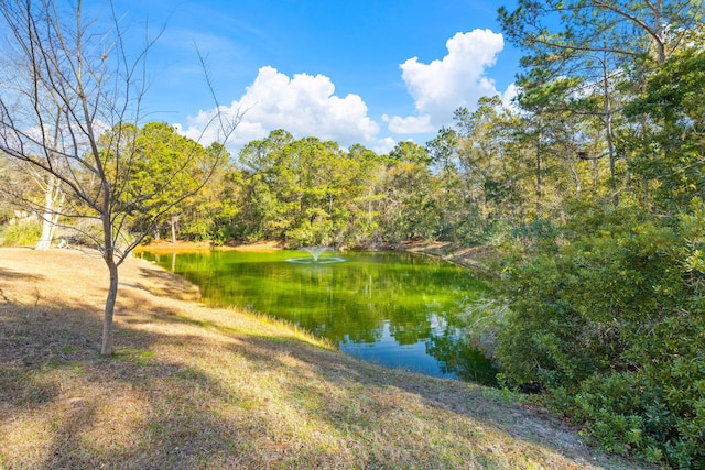 water view