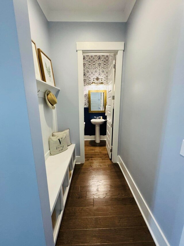 mudroom featuring baseboards and dark wood-style flooring