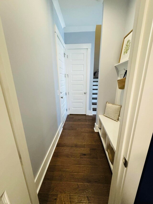 mudroom with dark wood-style floors, baseboards, and ornamental molding