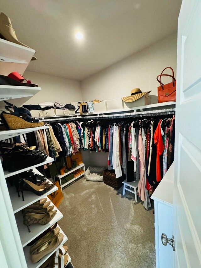 walk in closet featuring carpet floors