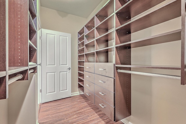 271 Village Stone Cir, Summerville, SC 29486 - walk in closet with wood finished floors