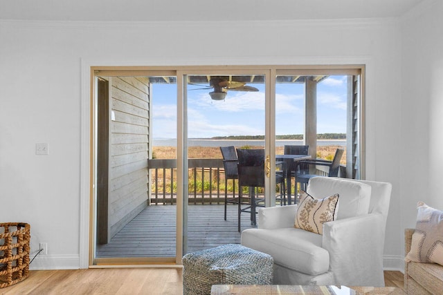 doorway featuring hardwood / wood-style floors and crown molding