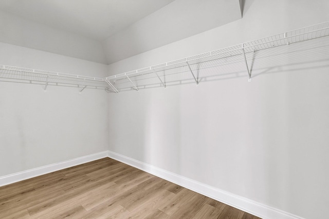 spacious closet featuring light wood-type flooring