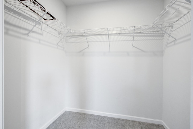 596 Wayton Cir, Moncks Corner, SC 29461 - walk in closet with carpet flooring