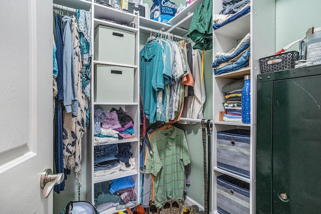 view of spacious closet