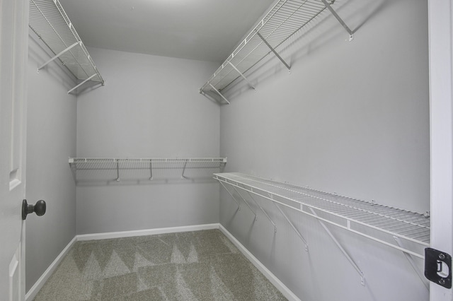 spacious closet featuring carpet floors