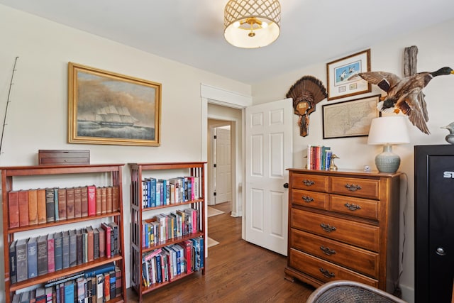 1107 S Shadow Dr, Mount Pleasant, SC 29464 - living area with dark wood-style flooring