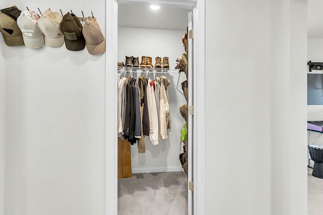 spacious closet with light colored carpet