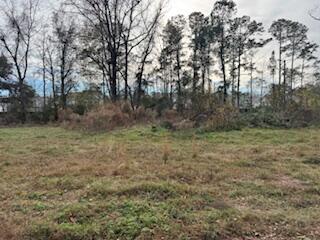 1192 Crystal Rd, Mount Pleasant SC, 29466 land for sale