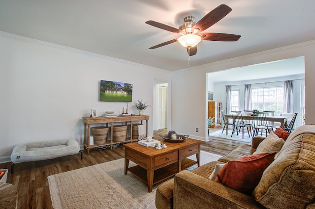 living room with hardwood / wood-style floors, ceiling fan, and ornamental molding