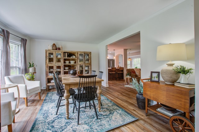 dining space with crown molding, a wealth of natural light, and wood-type flooring