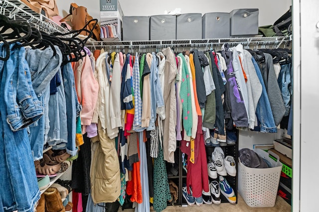 view of spacious closet