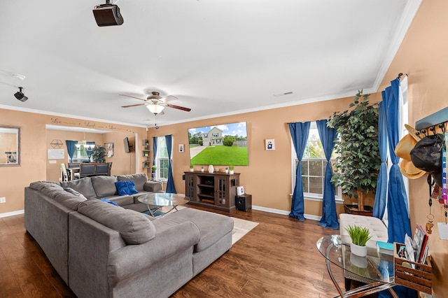 living room with ceiling fan, hardwood / wood-style flooring, and crown molding