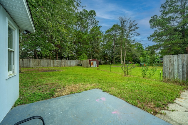 view of yard featuring a patio and a shed