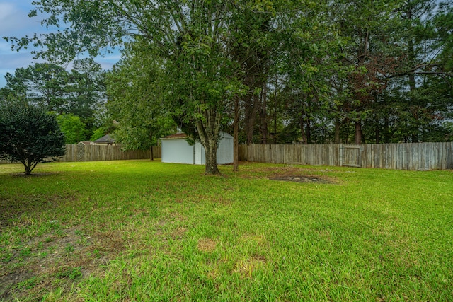 view of yard with a shed