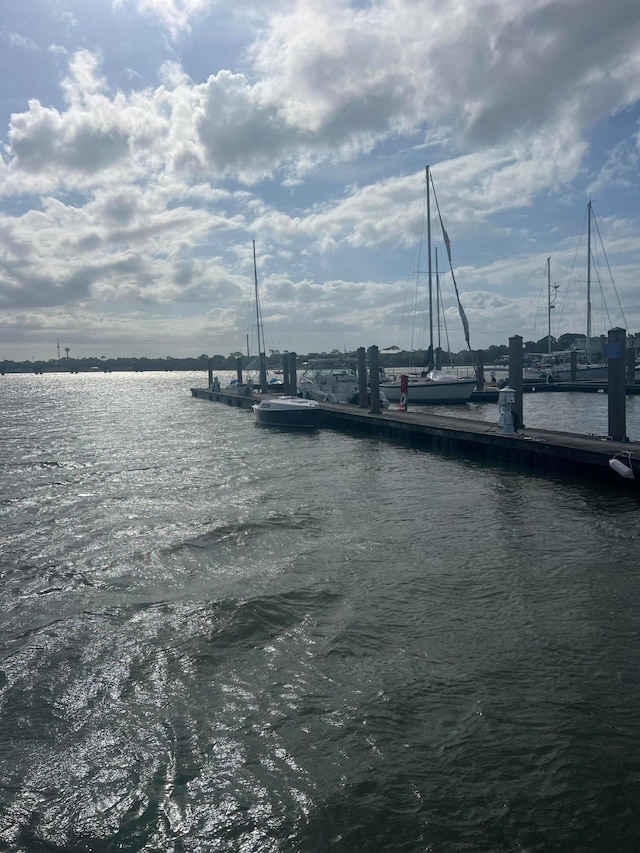 dock area with a water view