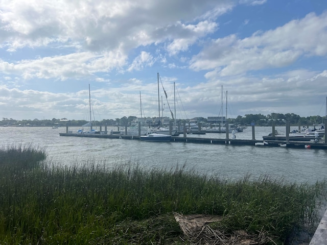 property view of water with a dock