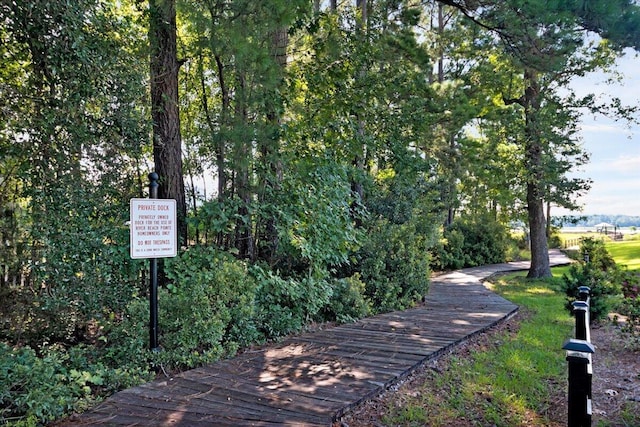1003 Jervey Point Rd, Wando, SC 29492 - view of community