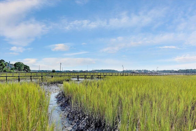 1003 Jervey Point Rd, Wando, SC 29492 - water view with rural landscape