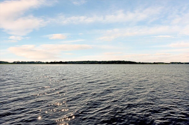 1003 Jervey Point Rd, Wando, SC 29492 - water view