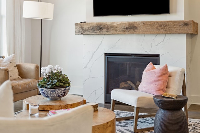 room details with hardwood / wood-style floors and a fireplace