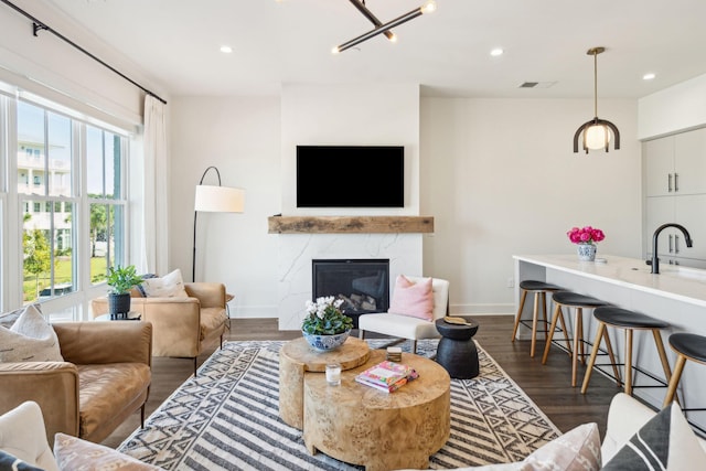 living room featuring a fireplace and dark hardwood / wood-style flooring