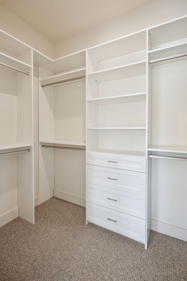 spacious closet with light colored carpet