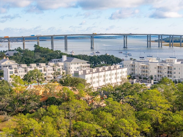 aerial view with a water view