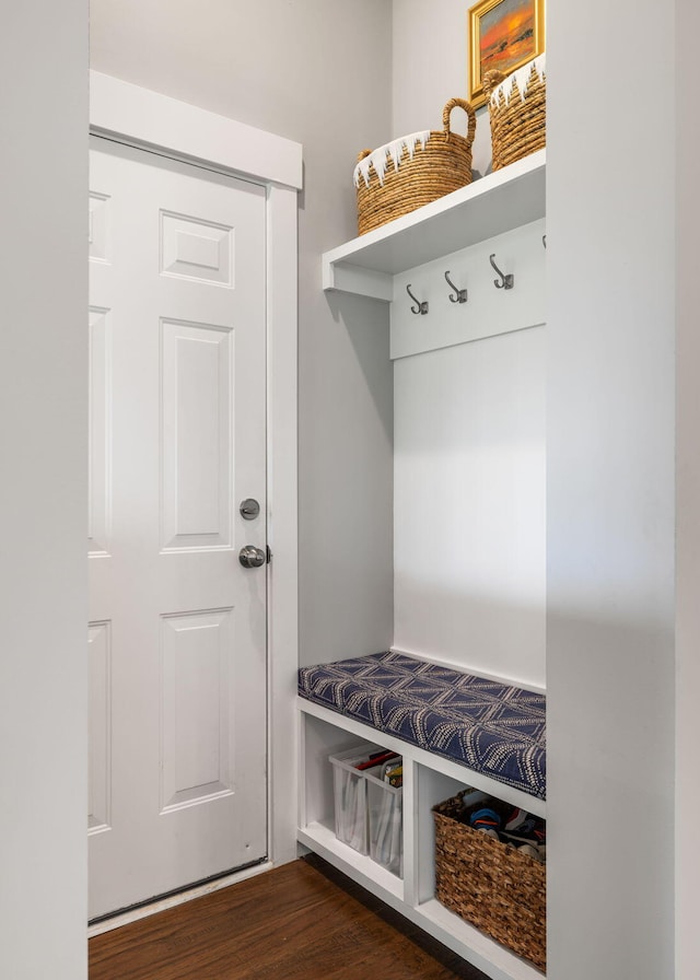 125 Integrity Ln, Charleston, SC 29492 - mudroom with dark wood-style flooring