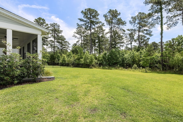 125 Integrity Ln, Charleston, SC 29492 - view of yard