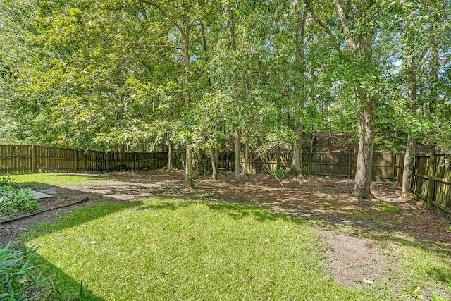 240 Eagle Ridge Rd, Summerville, SC 29485 - view of yard