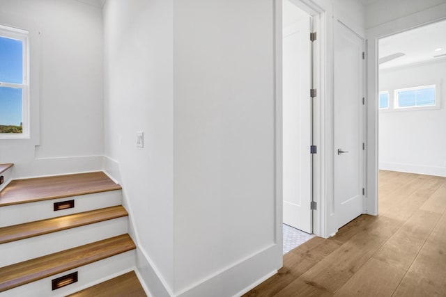 staircase with hardwood / wood-style floors