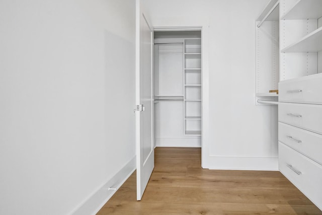 spacious closet with light wood-type flooring