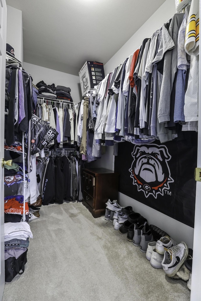 spacious closet featuring light carpet