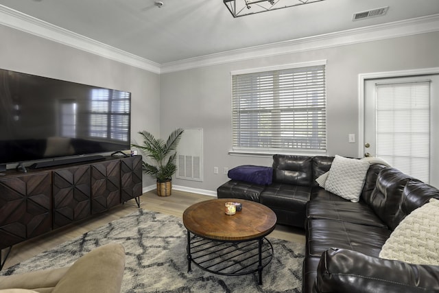 living room with wood-type flooring and crown molding