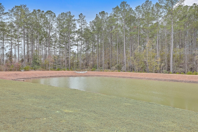 view of water feature