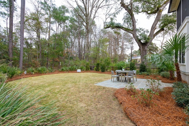 view of yard with a patio area