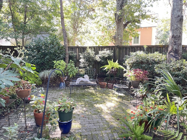 view of yard featuring a patio