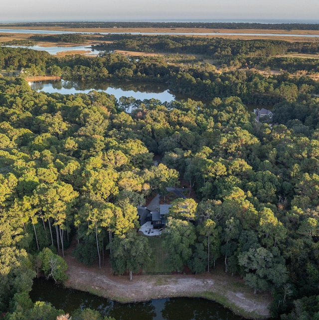 drone / aerial view with a water view