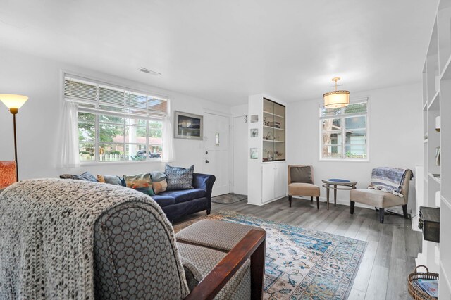 1514 Patterson Ave, Charleston, SC 29412 - living room with plenty of natural light and wood finished floors