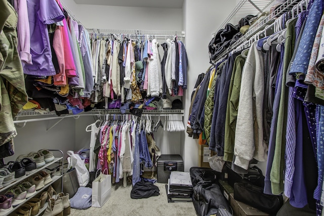 walk in closet with carpet floors