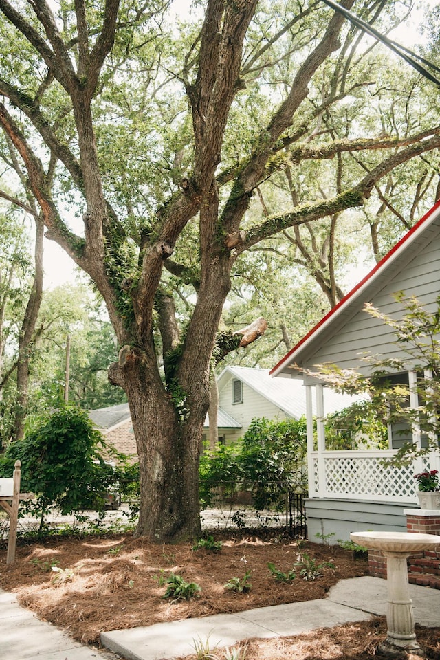 317 Bay St, Walterboro, SC 29488 - view of yard