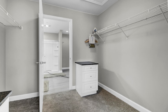 walk in closet featuring dark colored carpet